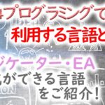 MT4のプログラミング言語「MQL4」では何が作れる?インジケーターやEA開発をしたい方必見!